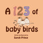 Baby Book - A 123 of Baby Birds - Wish & Wrap