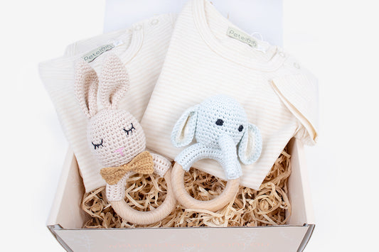 Twin Boys Gift Box - Wish & Wrap