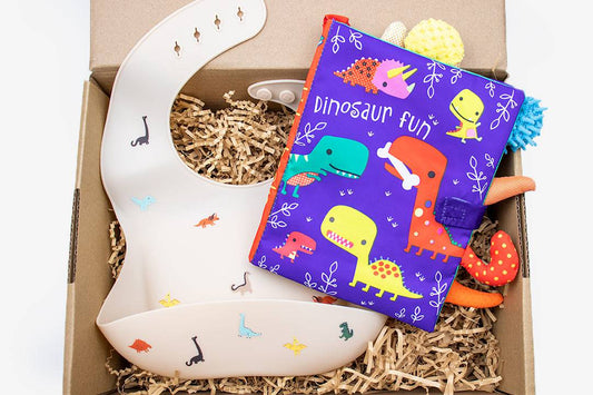 Baby Gift Box - Dinosaur - Wish & Wrap